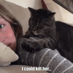 1473536630_giphy-downsized-large.gif
