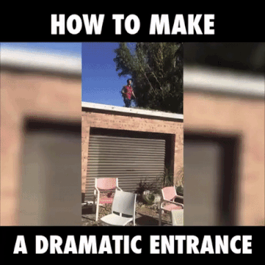 1474325192_giphy-downsized-large.gif