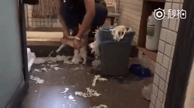 1474458437_giphy.gif