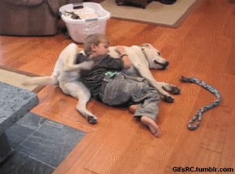 1474842442_giphy.gif