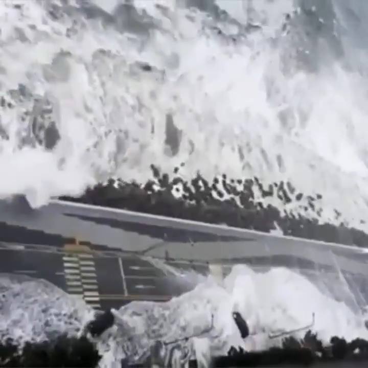 14602179_1140131089388704_5681963191093952512_n.jpg