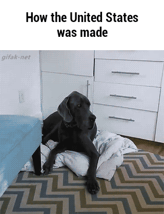 baby-and-dog.gif
